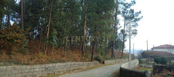 Terrain à Barcelos, Portugal 744m² No. 33583 18