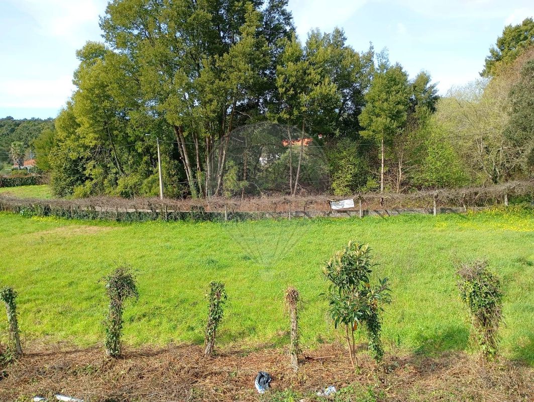 2 غرف نوم قطعة أرض في Caminha, Portugal رقم 72632