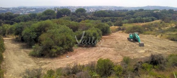 Terrain à Cadiz, Spain 3376m² No. 29381 11