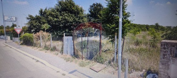 11700m² Land in Cardito, Italy No. 73284 5