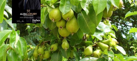 15 rooms Villa in Senigallia, Italy No. 118647 21