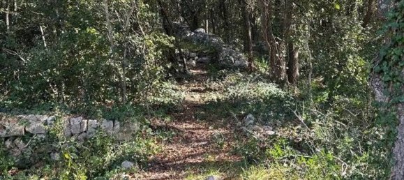 11 bedrooms House in Ostuni, Italy No. 348131 36