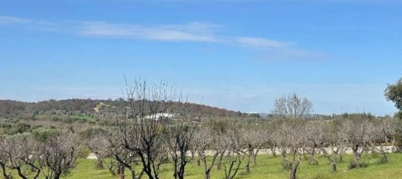 11 bedrooms House in Ostuni, Italy No. 348131 35