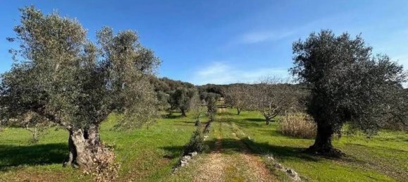 11 bedrooms House in Ostuni, Italy No. 348131 32