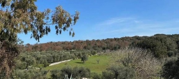 11 bedrooms House in Ostuni, Italy No. 348131 43