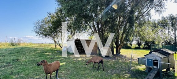 6 bedrooms House in Le Maisnil, France No. 256968 7