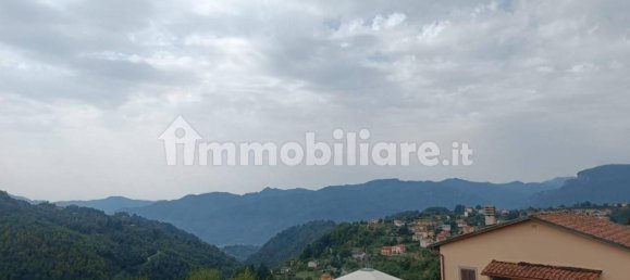 1 bedroom Apartment in Coreglia Antelminelli, Italy No. 323941 20