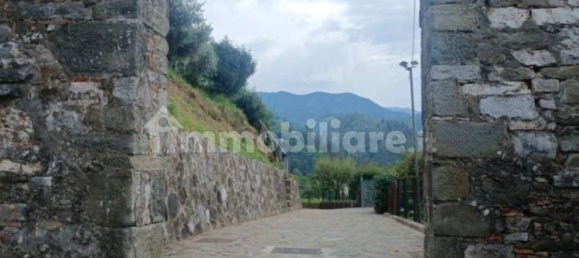 1 bedroom Apartment in Coreglia Antelminelli, Italy No. 323941 23