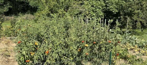 4 Schlafzimmer Haus in Lucq-de-Bearn, France, Nr. 330499 20