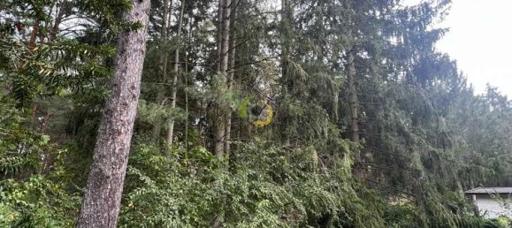  قطعة أرض في Brandenburg, Germany رقم 11475 3