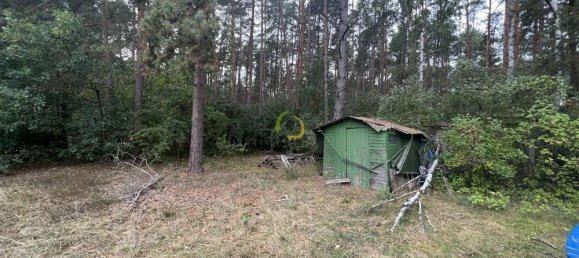  قطعة أرض في Brandenburg, Germany رقم 11475 6