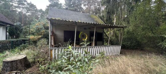  قطعة أرض في Brandenburg, Germany رقم 11475 5