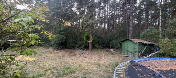  قطعة أرض في Brandenburg, Germany رقم 11475 9