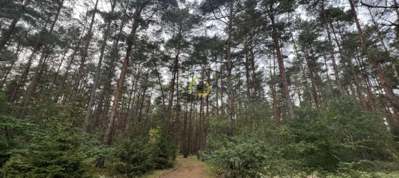  قطعة أرض في Brandenburg, Germany رقم 11475 2