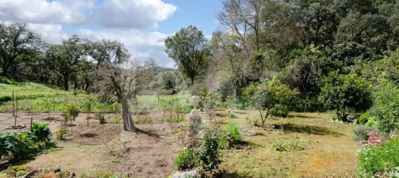 2 غرف نوم منزل في Monchique, Portugal رقم 86048 50