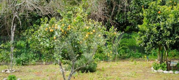 2 غرف نوم منزل في Monchique, Portugal رقم 86048 49