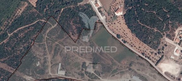 4410m² Commercial property in Tomar, Portugal No. 251377 3