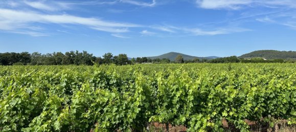 Propriété commerciale à Pierrefeu-du-Var, France 100m² No. 817 3