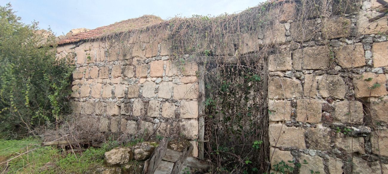 3 bedrooms House in Rio Maior, Portugal No. 185643