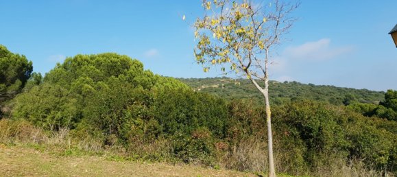 Grundstück in Cadiz, Spain, Nr. 204543 3