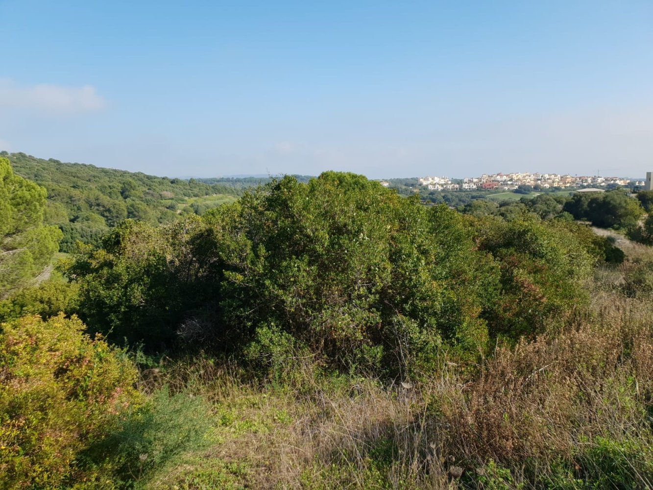 Земельный участок в Кадис, Испания № 204543