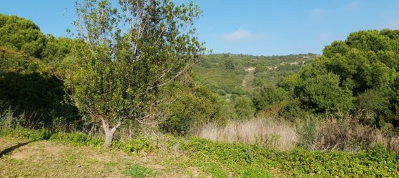 Grundstück in Cadiz, Spain, Nr. 204543 5