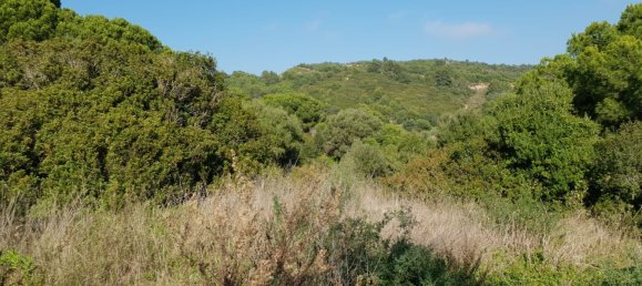 Grundstück in Cadiz, Spain, Nr. 204543 6