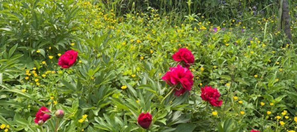 Bungalow de 3 dormitorios en Boblingen, Germany No. 319849 13