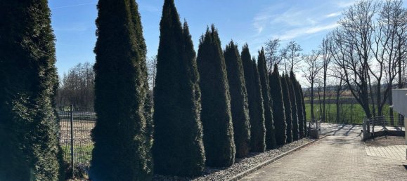 4 chambres Maison de ville à Augsburg, Germany No. 226292 18