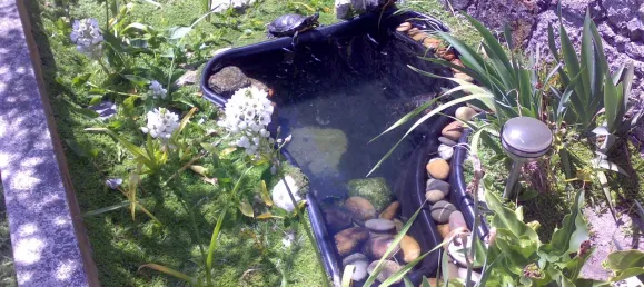 4 Schlafzimmer Haus in Viana do Castelo, Portugal, Nr. 20644 38