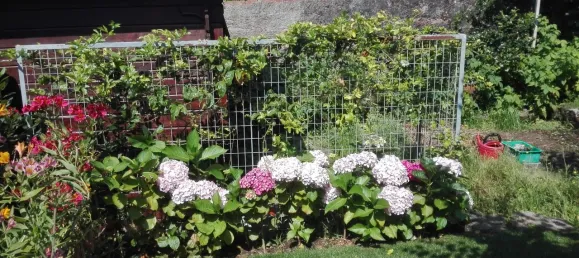 4 Schlafzimmer Haus in Viana do Castelo, Portugal, Nr. 20644 36