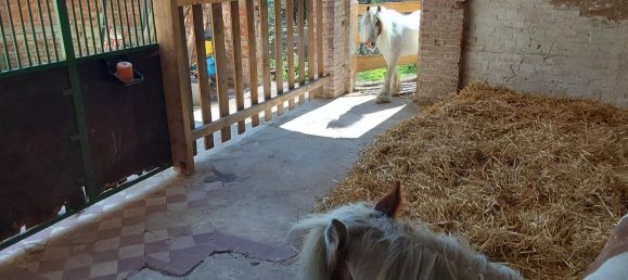 Villa de 5 dormitorios en Sonneberg, Germany No. 29339 15