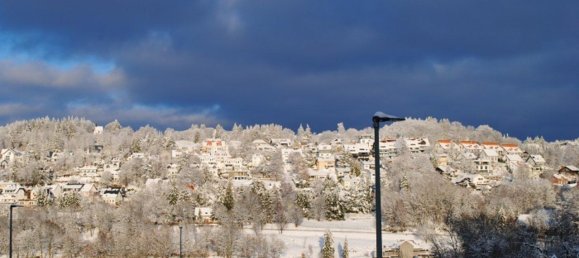8 غرف نوم منزل في Hochtaunuskreis, Germany رقم 67117 2