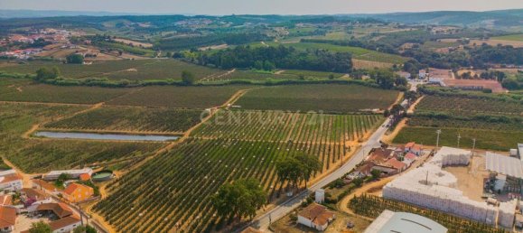  عقار تجاري في Bombarral, Portugal 200متر مربع رقم 345342 17