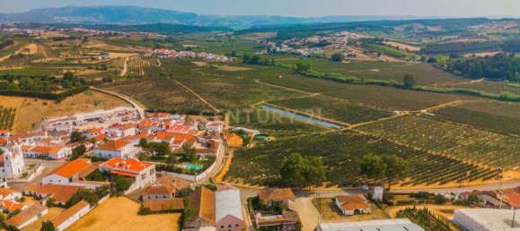  عقار تجاري في Bombarral, Portugal 200متر مربع رقم 345342 14