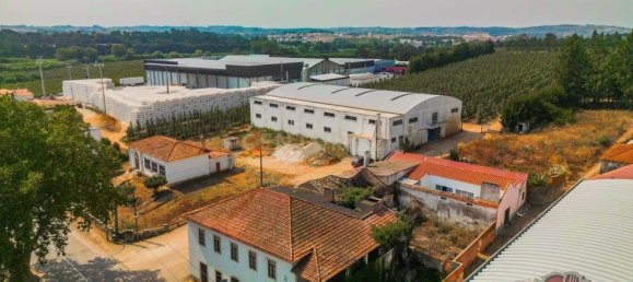  عقار تجاري في Bombarral, Portugal 200متر مربع رقم 345342 5