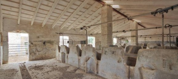 Дом с 1 спальней в Менорка, Испания № 83213 16