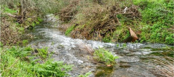 3 bedrooms Castles in Grandola, Portugal No. 92066 3