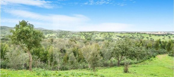 3 bedrooms Castles in Grandola, Portugal No. 92066 43