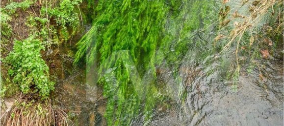 3 bedrooms Castles in Grandola, Portugal No. 92066 5