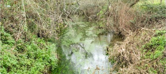 3 bedrooms Castles in Grandola, Portugal No. 92066 6