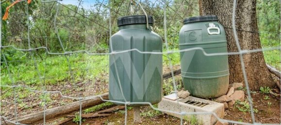 3 bedrooms Castles in Grandola, Portugal No. 92066 13