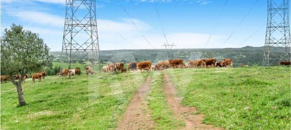 3 bedrooms Castles in Grandola, Portugal No. 92066 17