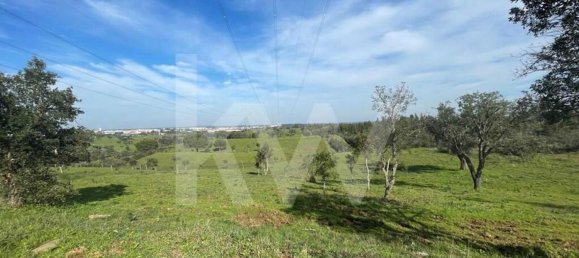 3 bedrooms Castles in Grandola, Portugal No. 92066 45