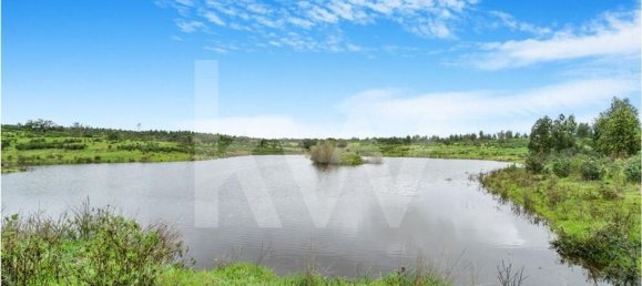 3 bedrooms Castles in Grandola, Portugal No. 92066 10