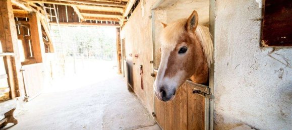 2 bedrooms House in Passau, Germany No. 244674 12