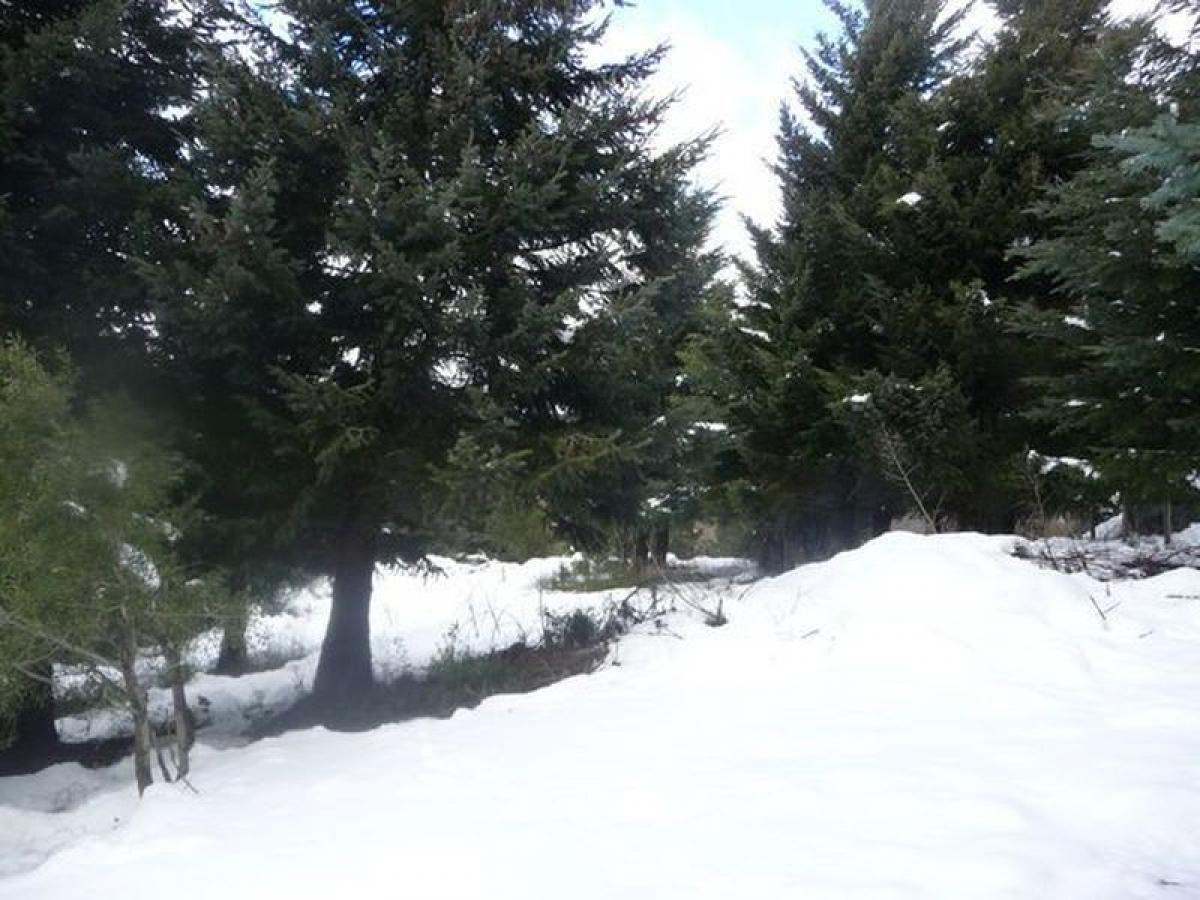 Terrain à Neuquen, Argentina No. 40670