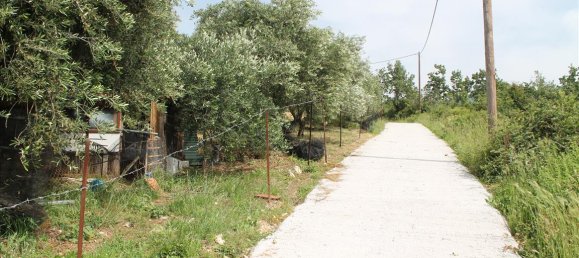 Отель, гостиница 4268м² в Керкира, Греция № 7804 2