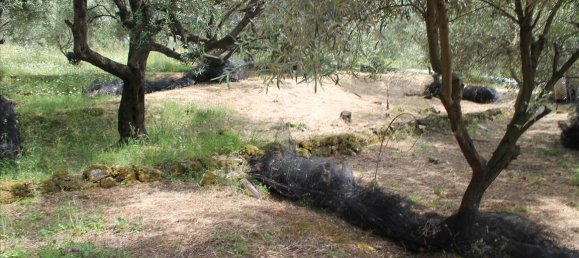 Отель, гостиница 4268м² в Керкира, Греция № 7804 4