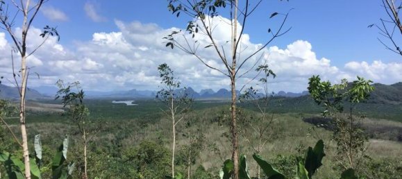 88000m² Commercial property in Khok Kloi, Thailand No. 8278 7